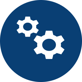 Domestic Manufacturing & Import Substitution 
